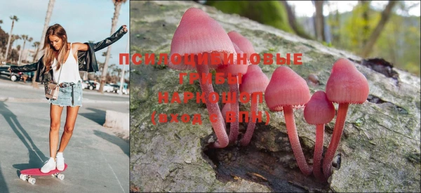первитин Покачи
